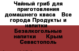Чайный гриб для приготовления домашнего кваса - Все города Продукты и напитки » Безалкогольные напитки   . Крым,Севастополь
